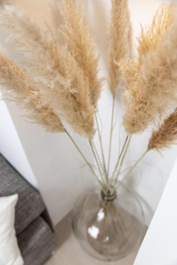 רייקה Balcony Apartment Pampas מראה חיצוני תמונה